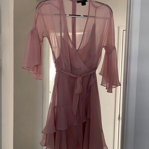 French Connection Blush Pink Sheer Dress
